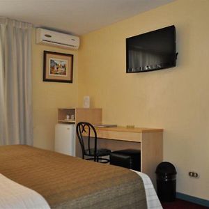 Habitación Individual Estándar